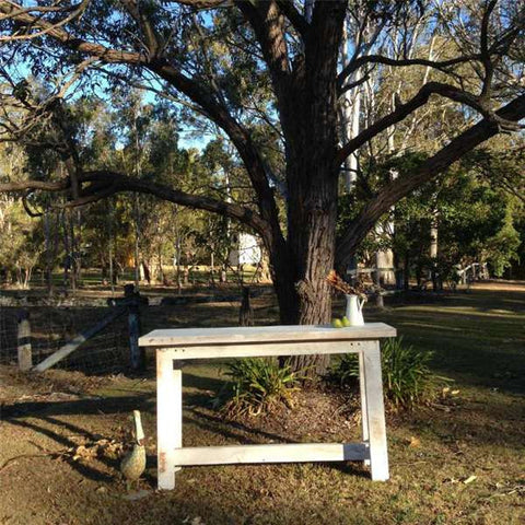 "Once Upon A Queenslander" Eco Recycled High Bench Table in White "Once Upon A Queenslander" Eco Recycled High Bench Table in White